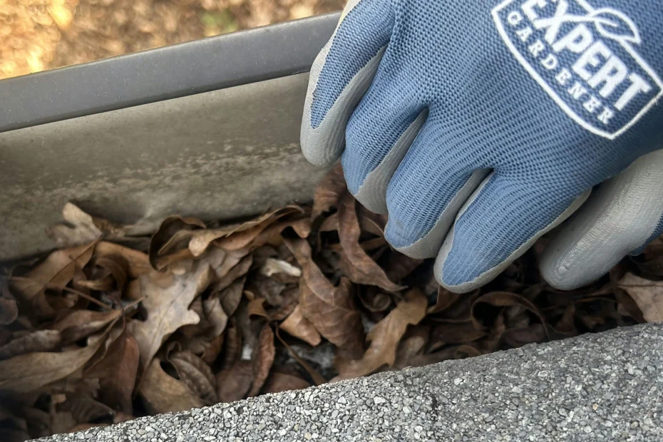 Heathrow Gutter Cleaning